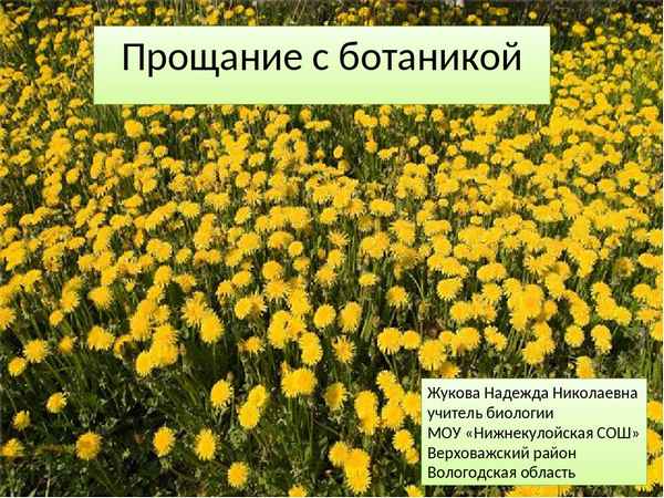 
    Прощание с ботаникой

      