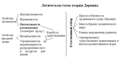 
    Урок по общей биологии в 11-м классе "Естественный отбор"

      