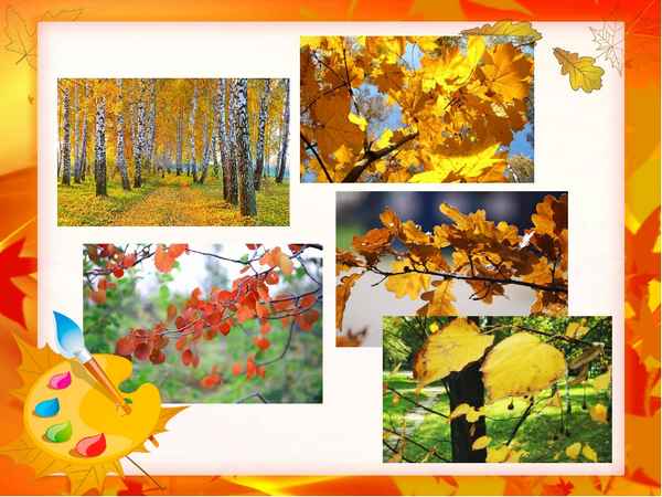 
    Интегрированный урок (окружающий мир + фитодизайн) (дополнительное образование) во 2-м классе по теме "Сезонные изменения в природе. В гости к осени"

      