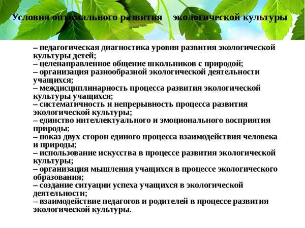
    Совершенствование организационно-педагогических условий проведения эколого-биологических экскурсий

      