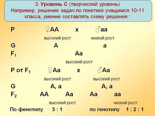 
    Тренажер для решения задач по генетике

      