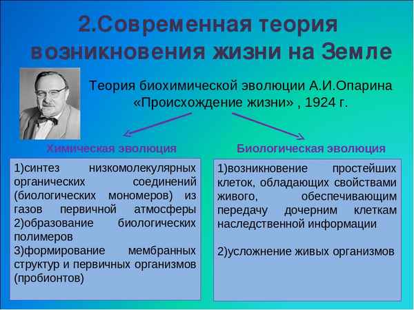 
    Урок по теме "Теории возникновения жизни"

      