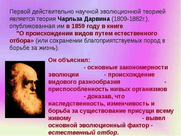 
    Открытый урок. 11-й класс. "Теоретические и пpaктические аспекты теории эволюции Чарлза Дарвина"

      