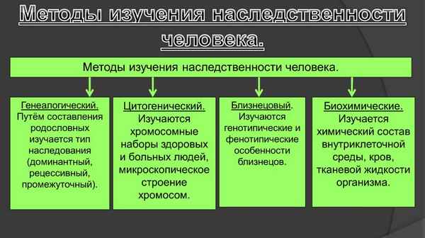 
    "Методы изучения наследственности человека". 10-й класс

      