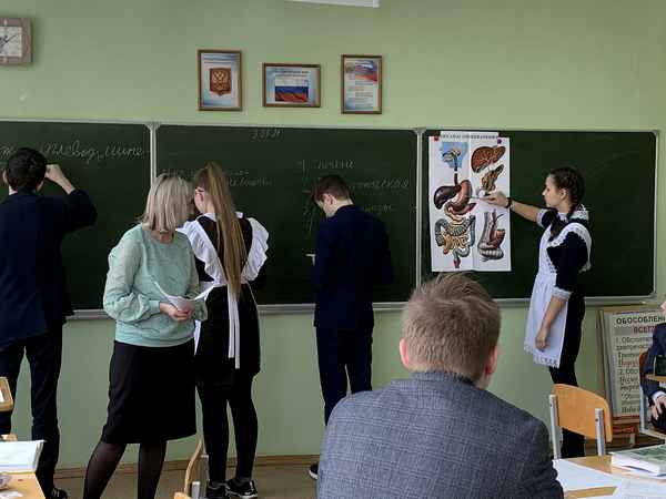 
    Открытый урок биологии

      