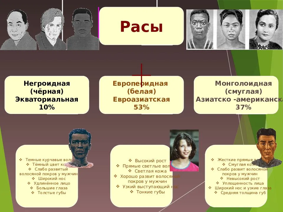 
    Урок биологии в 11-м классе по теме "Расы человека"

      