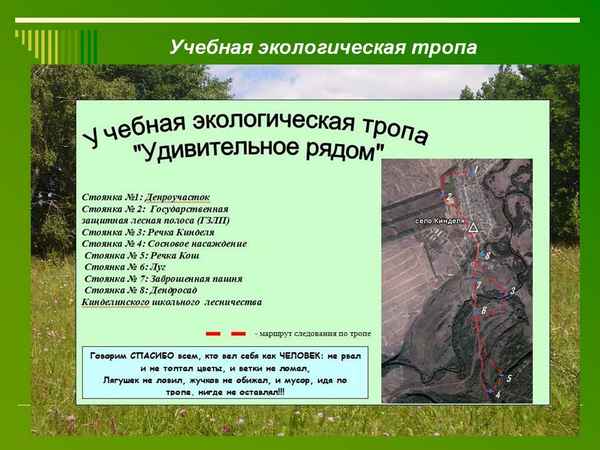 
    Учебная экологическая тропа

      