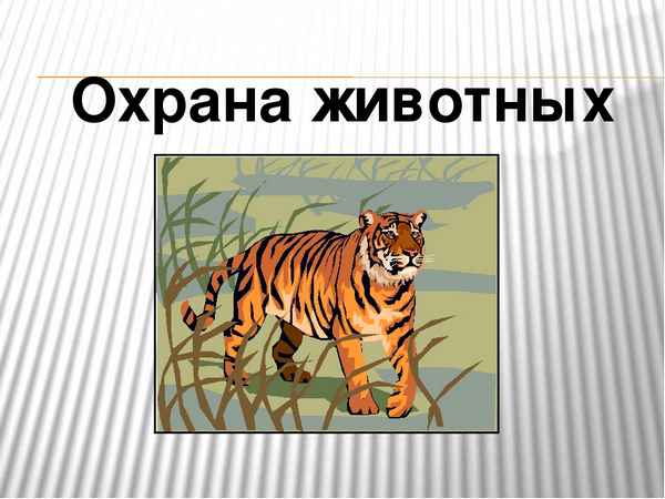 
    Урок биологии в 7-м классе на тему "Охрана животных"

      