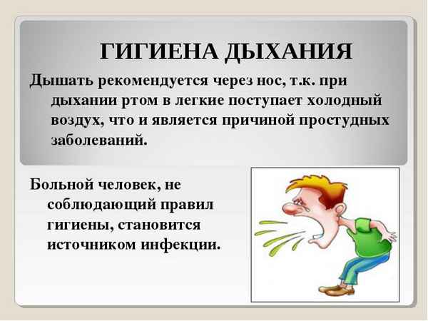 
    Интегрированный урок (биология + ОБЖ) по теме "Гигиена дыхания"

      