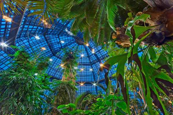 
    Виртуальная мини-экскурсия в тропики

      