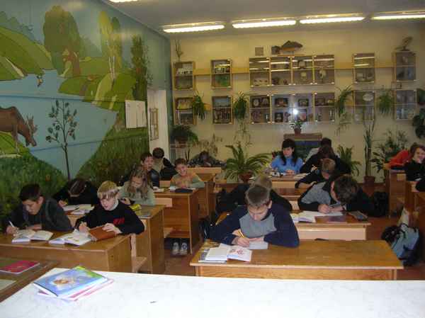 
    Урок биологии "Мои миллионы…". 9-й класс

      