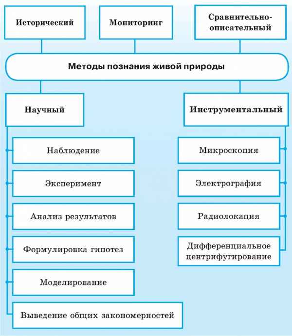 
    Животные живого уголка как средство овладения методами научного познания

      