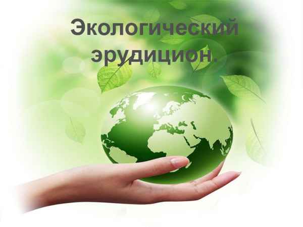 
    Экологический эрудицион

      