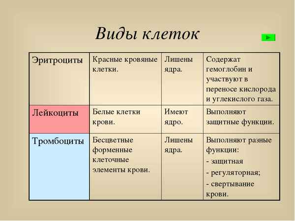 
    Урок по теме "Внутренняя среда организма. Кровь и остальные компоненты внутренней среды организма"

      