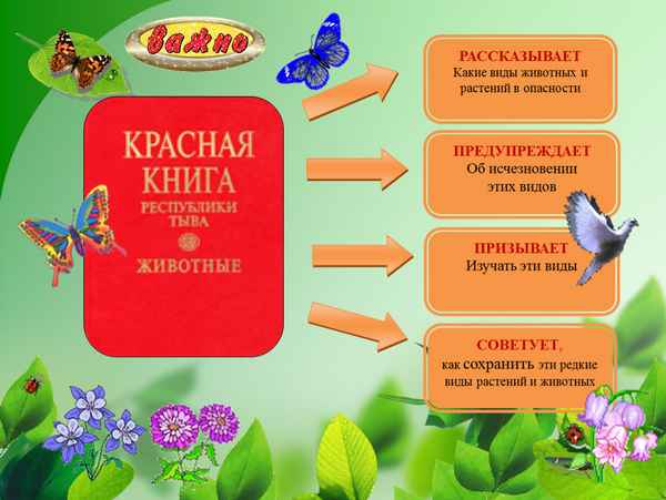 
    Интегрированный урок–игра по теме "По следам Красной книги Красноярского края"

      