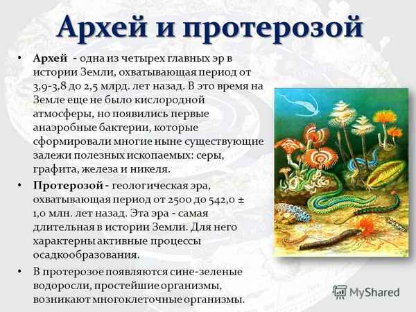 
    Разработка урока "Развитие жизни на Земле в архейскую и протерозойскую эры. Жизнь в водной среде"

      