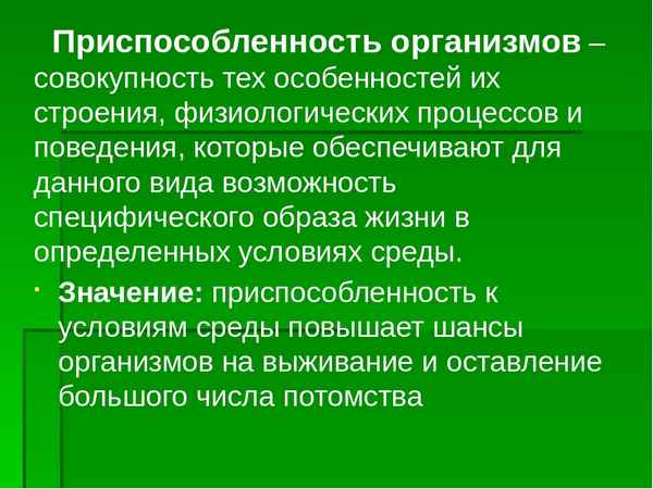 
    Разработка открытого урока для 9-го класса "Приспособленность организмов и ее относительность"

      