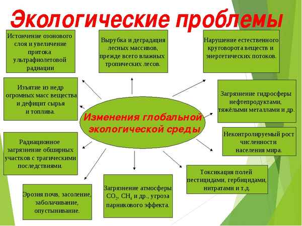 
    Экологическая составляющая раздела биологии "Человек и его здоровье"

      