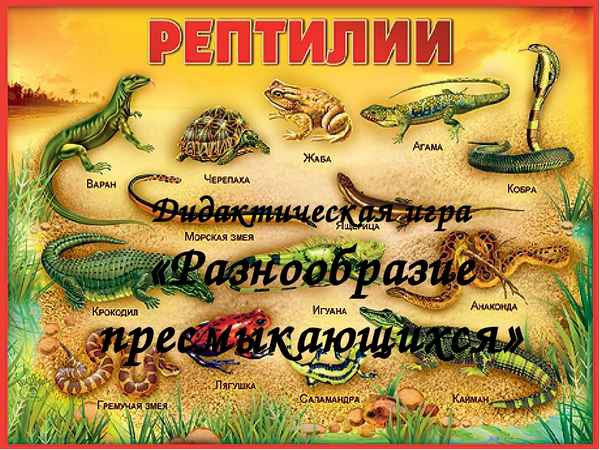 
    Турнир знатоков "В мире животных: пресмыкающиеся"

      