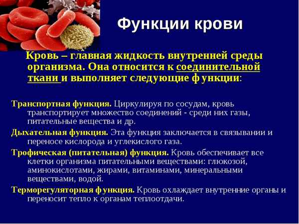 
    Интегрированный урок на тему "Что же между ними общего?.. (кровь и деньги)"

      