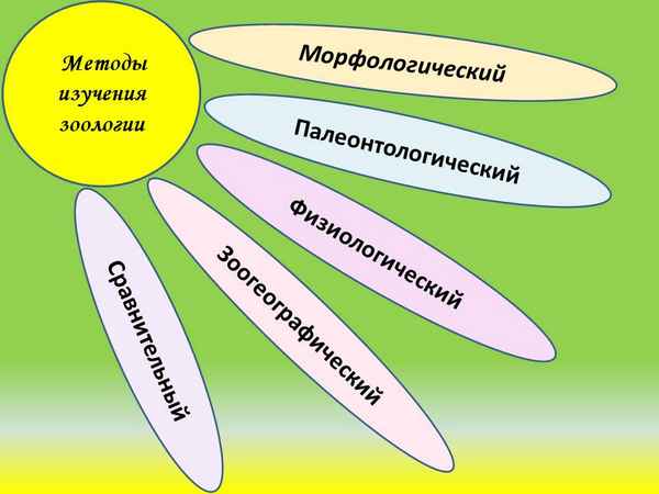
    Способы краеведческой работы по зоологии

      