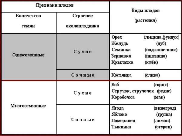 
    Урок биологии в 6-м классе по теме "Плоды"

      