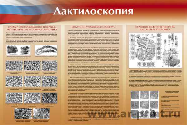 
    План-конспект занимательного занятия на тему "Биология на службе криминалистики"

      