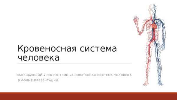 
    Обобщающий урок "Кровеносная система"

      