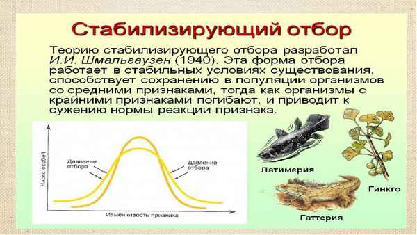 
    Урок биологии по теме "Естественный отбор"

      