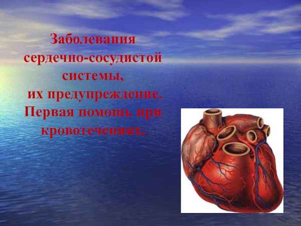 
    Заболевания сердечно-сосудистой системы, их предупреждение. Первая помощь при кровотечениях

      