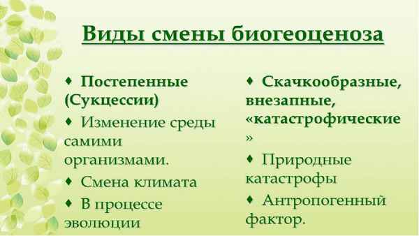 
    Урок "Смена биогеоценоза". 11-й класс

      