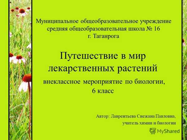 
    Внеклассное мероприятие по биологии "Приключение в Царстве растений"

      