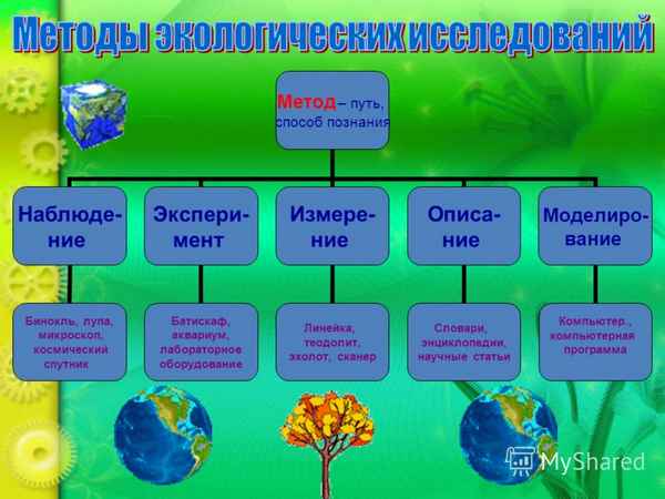 
    Интегри рованный урок (биология+экология) по теме "Время экологической культуры" по учебнику Пономоревой И.Н.и др."Биология". 11-й класс

      