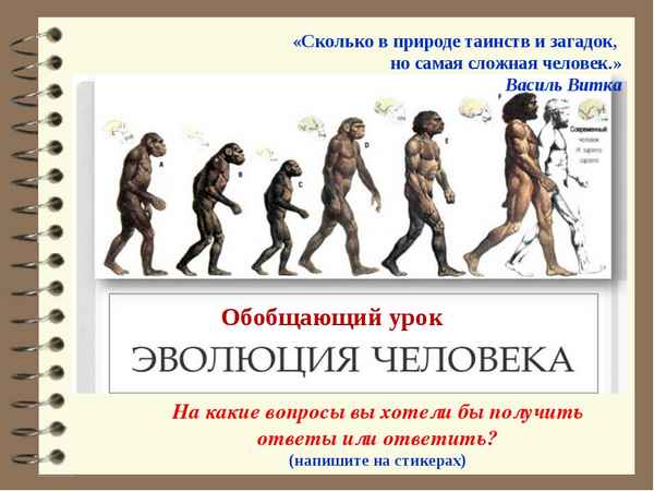 
    Обобщающий урок по теме "Эволюция". 9-й класс

      