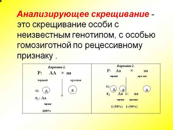 Анализирующее скрещивание - что это?