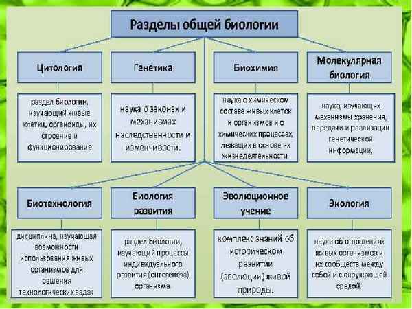 
    Модульный урок № 1 по теме: "Введение. Биологические науки". Общая биология (9-й класс)

      