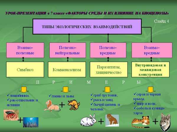 
    Урок-презентация. Тема: "Факторы среды и их влияние на биоценозы"

      
