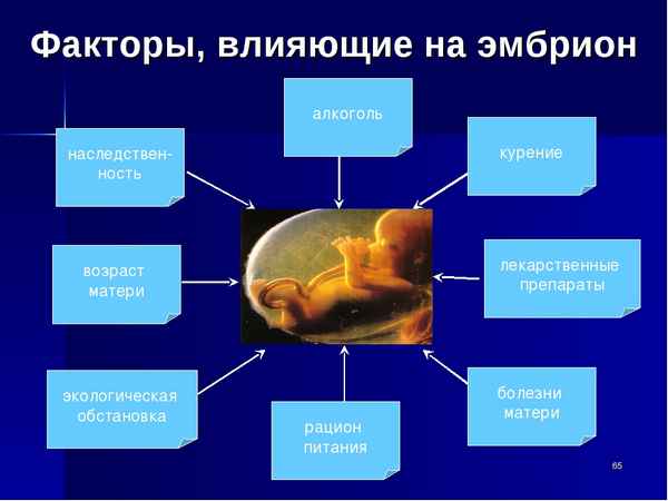 
    План урока по биологии по теме "Оказывают ли влияние алкоголь и курение на развитие зародыша"

      