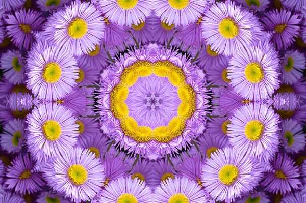 
    Цветочный калейдоскоп

      