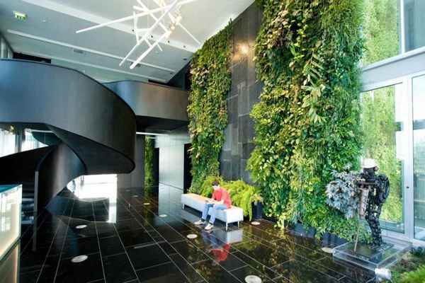 
    Экологический фитодизайн в закрытых помещениях

      