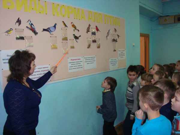 
    Сценарий празднования Дня птиц "Здравствуйте, птицы!"

      