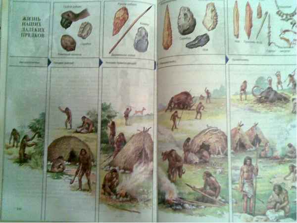 
    Блок-модуль по теме "Происхождение человека". "Общая биология" (11-й класс)

      