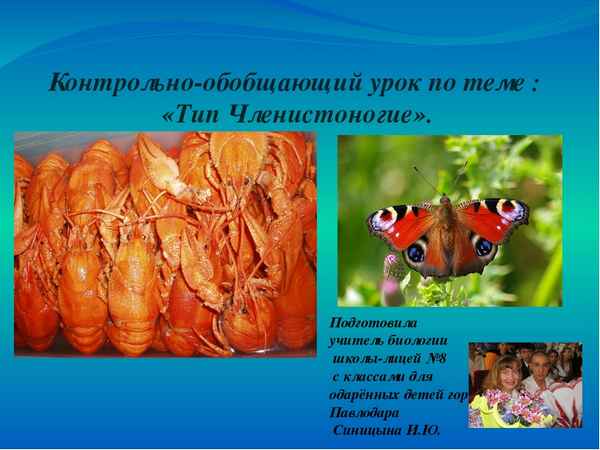 
    Контрольно-обобщающий урок по теме "Тип члeнистоногие"

      