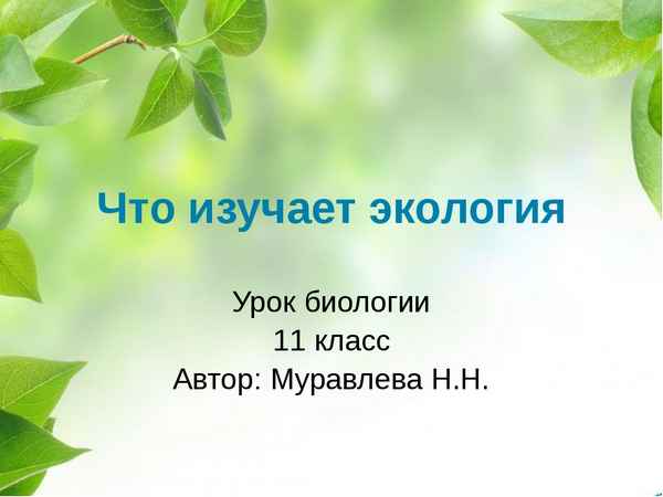 
    Урок биологии: "Птицы – знакомые незнакомцы"

      