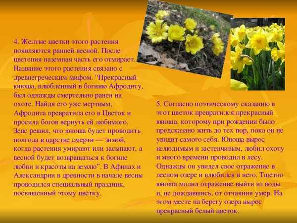 
    Интеллектуальная игра "Растения и животные в мифах, легендах, народных поверьях"

      