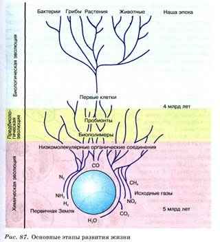 
    Урок-исследование. "Начальные этапы развития жизни на Земле"

      