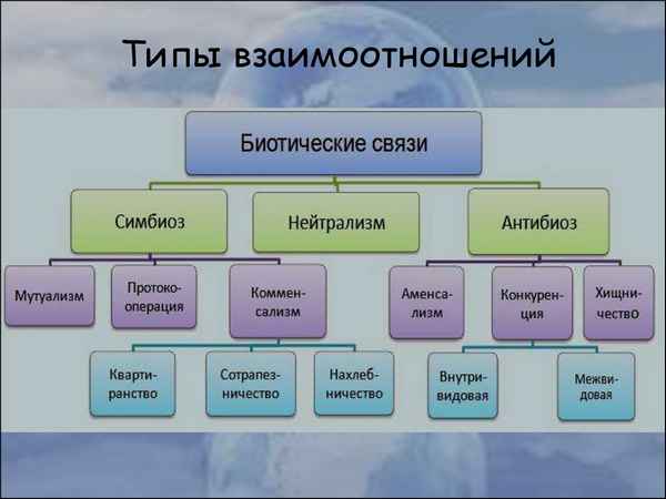 
    Информационные технологии на уроках биологии в 9-м классе "Биологические факторы. Взаимоотношения между организмами"

      