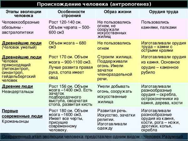 
    Урок биологии по теме "Основные стадии антропогенеза"

      