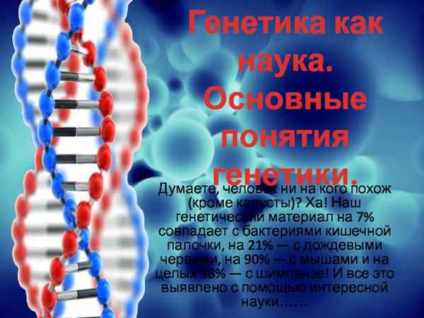 
    Разработка урока "Кто и как влияет на наш наследственный материал"

      