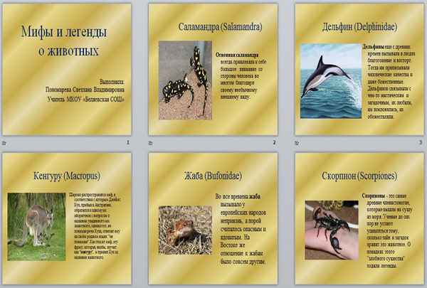 
    Занимательный урок по биологии "Мифы и легенды животного мира"

      